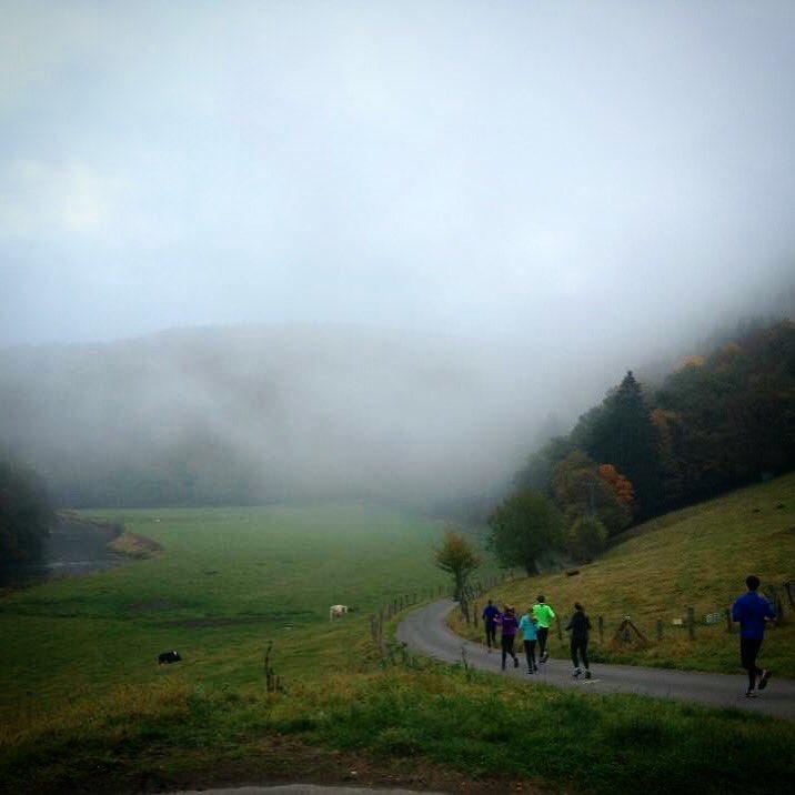 Ferro Mosae tweet media