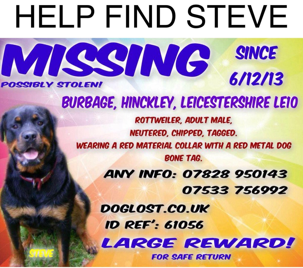 LostboxUK's tweet photo. RT @helping2reunite: #FindSteve #MissingDog 06.12.13 #Hinckley #Leicestershire #ScanMe @LostboxUK @RSPCA_official TY https://t.co/bJQjfTjfQS