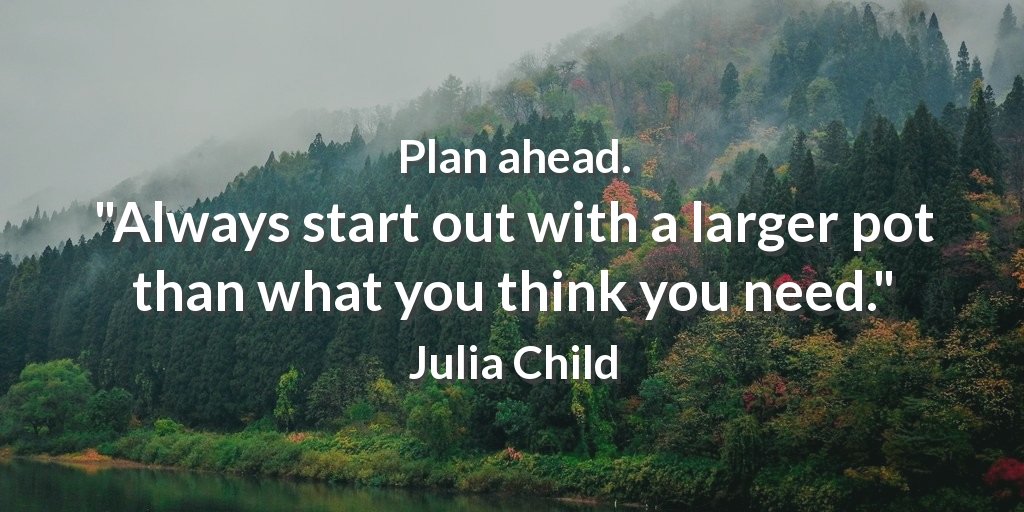 ZingerWebDesign's tweet image. Plan ahead. &quot;Always start out with a larger pot than what you think you need.&quot; Julia Child #webdesignhamilton