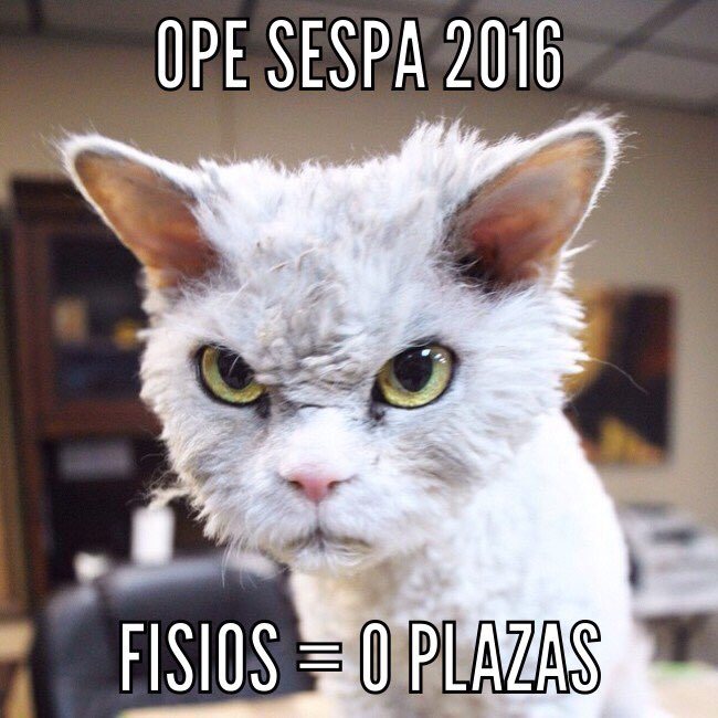 fisioopeastur's tweet photo. 14 años q no nos sacan unas oposiciones!Representación gráfica d la cara q se nos quedo #SESPAnonosquieres #mismanostusalud #SESPAsinfisios https://t.co/kF2b7APjwr