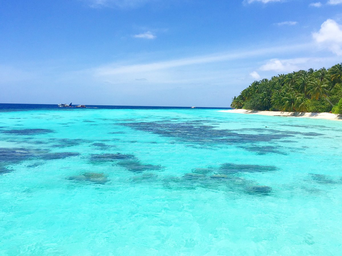 AaaMaldives's tweet photo. The beautiful private and authentic Maldives resort. #Paradise 💚💙

#AaaVeeE.com 🇲🇻🌎 #Maldives.com https://t.co/1SeD9e16DR