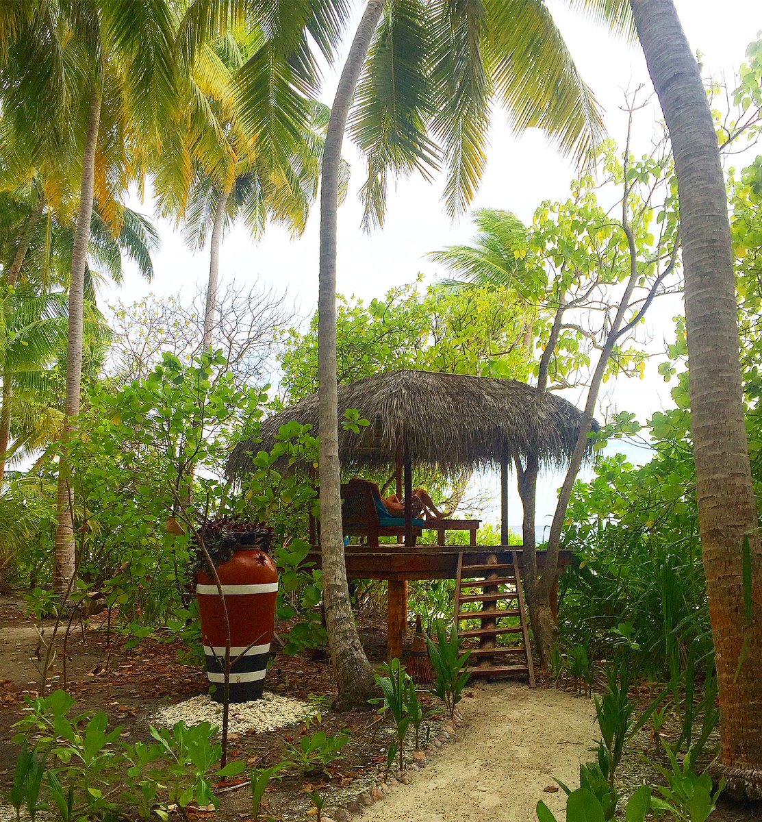 AaaMaldives's tweet photo. The beautiful private and authentic Maldives resort. #Paradise 💚💙

#AaaVeeE.com 🇲🇻🌎 #Maldives.com https://t.co/1SeD9e16DR