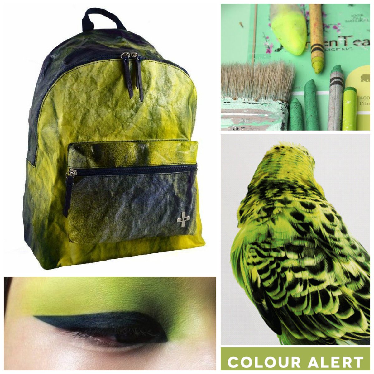 sideplusreal's tweet photo. Colour Alert!
#sideplus #moodboard
Don't miss this backbag
Shop @-->https://t.co/TwbZOlLOVL
#onlypositivethinking https://t.co/V4onqUjxAu