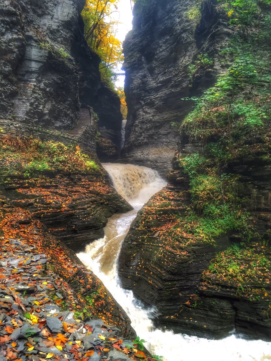 Icetrekker2009's tweet photo. @FLXWineCountry @TourWatkinsGlen @NYstateparks Finally! Rain! #watkinsglensp #gorgetrail #fallinthefingerlakes #getoutside #exploremore https://t.co/rCUHhng9WU