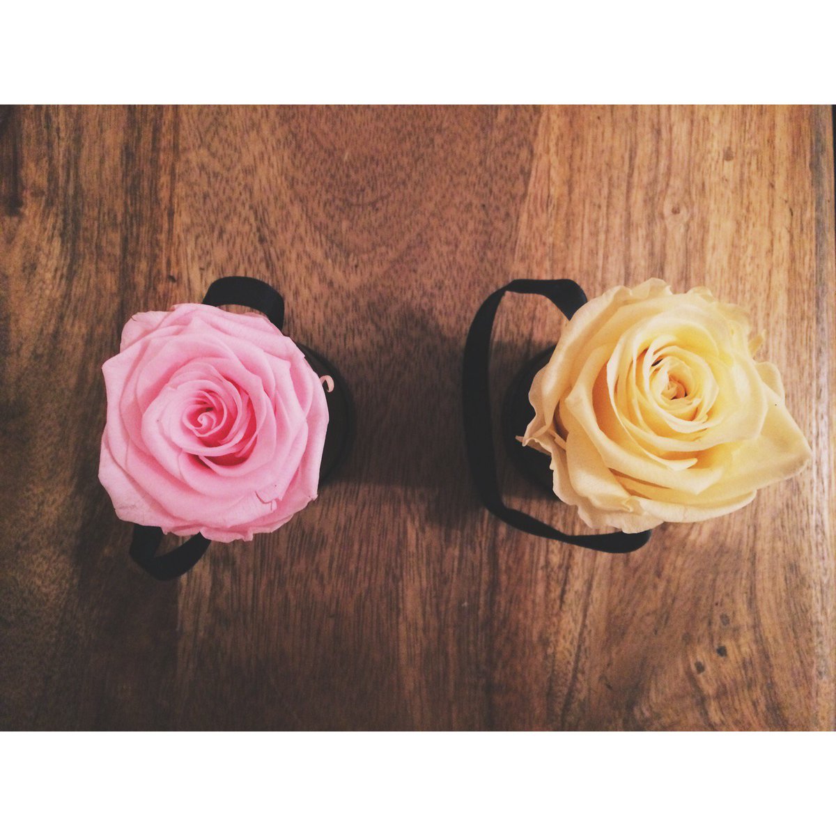 silk_bridal's tweet photo. 🌼🌸s u n d a y 🌸🌼

 #silkbridal #silkbride #sunday #flowers #rochester #love https://t.co/pa53xh9GZr