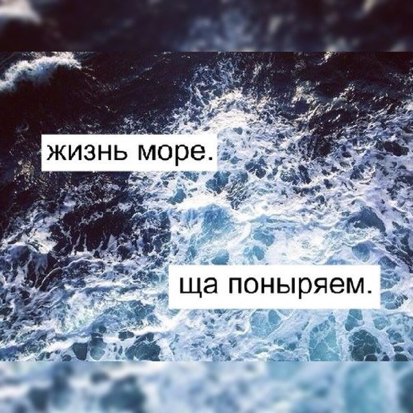 Обнуляй мемы. Обнуляй жизнь море. Жизнь море ща поныряем. Жизнь море щас поныряем. Жизнь море щас поныряем.