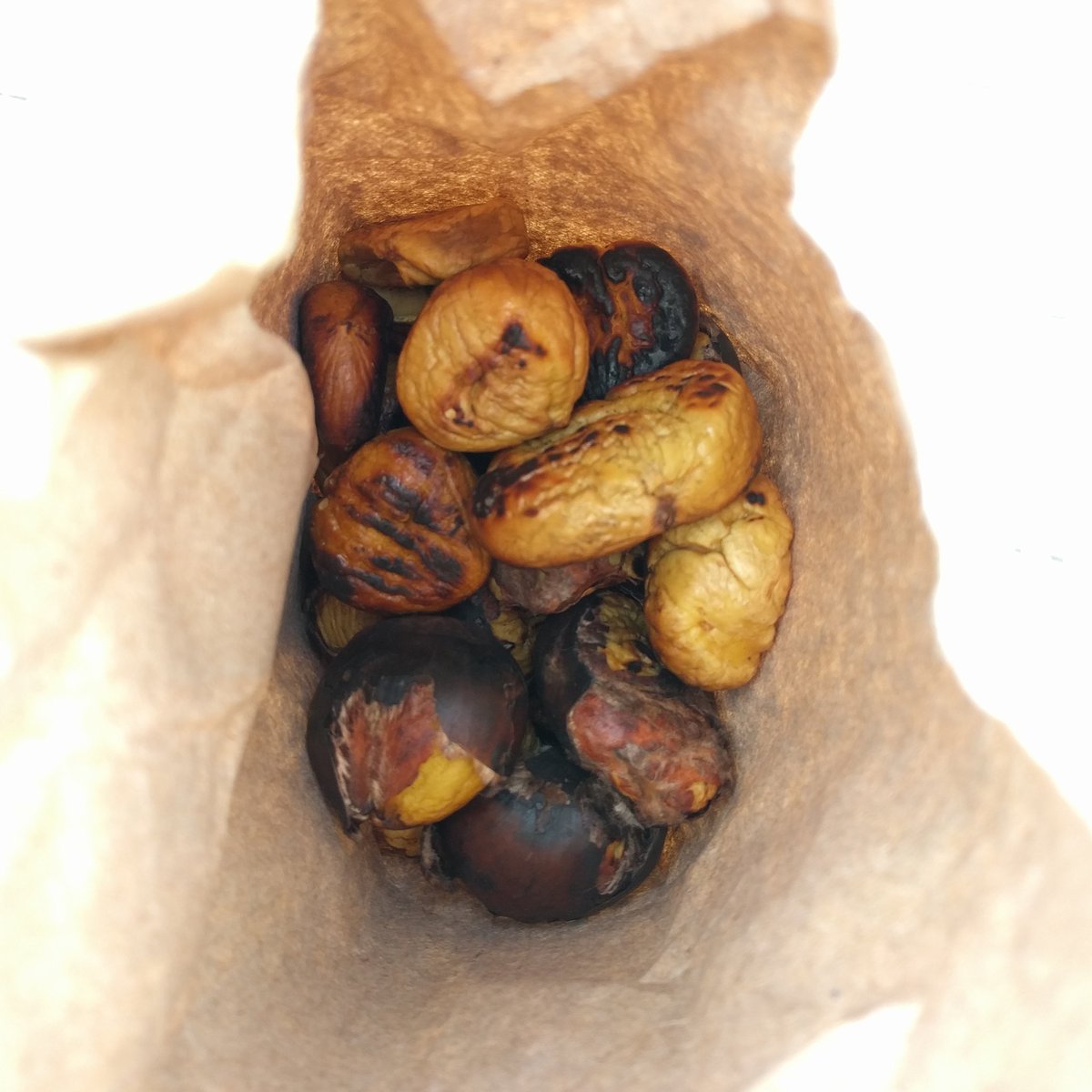 Ziga____'s tweet image. #chestnuts