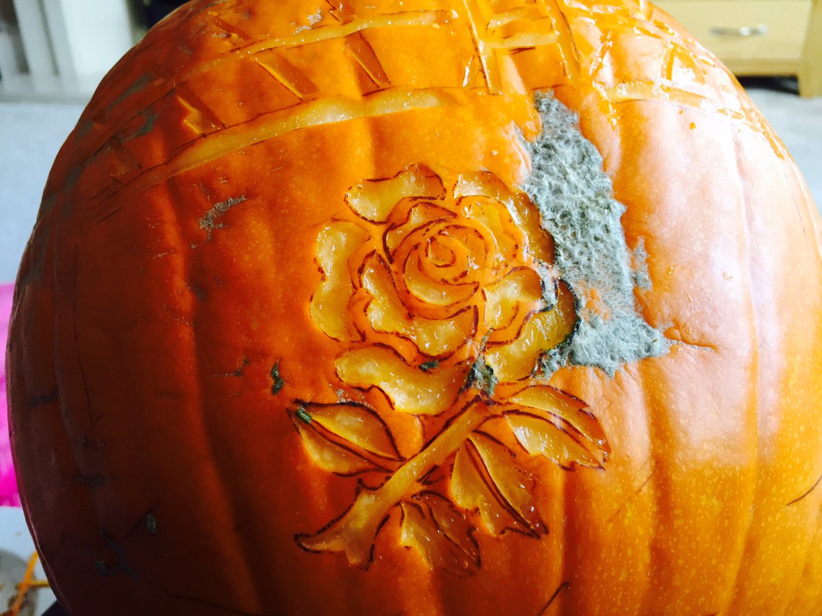 BrisVADAR's tweet photo. .@O2sports @EnglandRugby OUR #twickenhamstadium CARVED!!#PumpkinCarving #WearTheRose 🌹 #CarveTheRose 🎃#Halloween #RoseArmy https://t.co/zHSGImLcuf