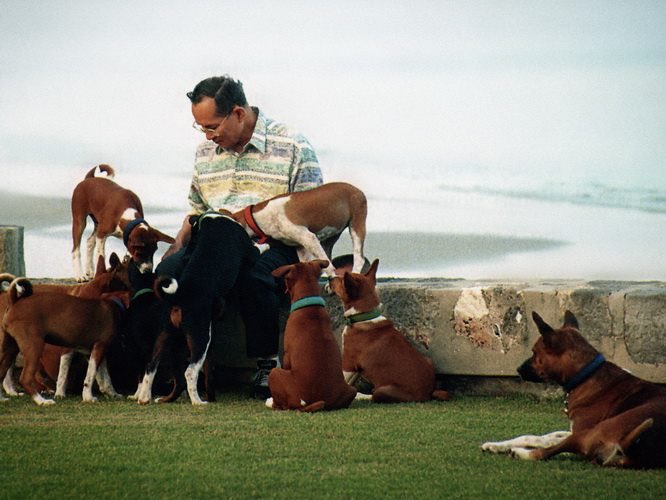 ผลการค้นหารูปภาพสำหรับ ภาพอิริยาบท ของ ร.9