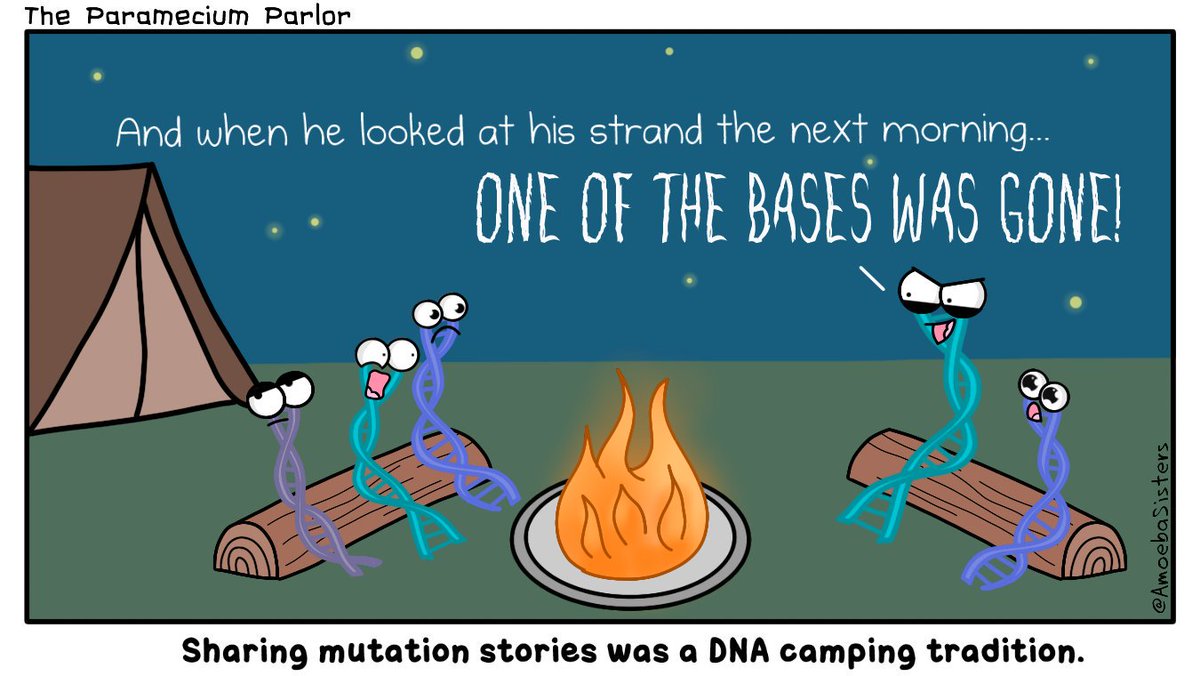 A spooky story.
#scicomm #scied #science #genetics #amoebasisters