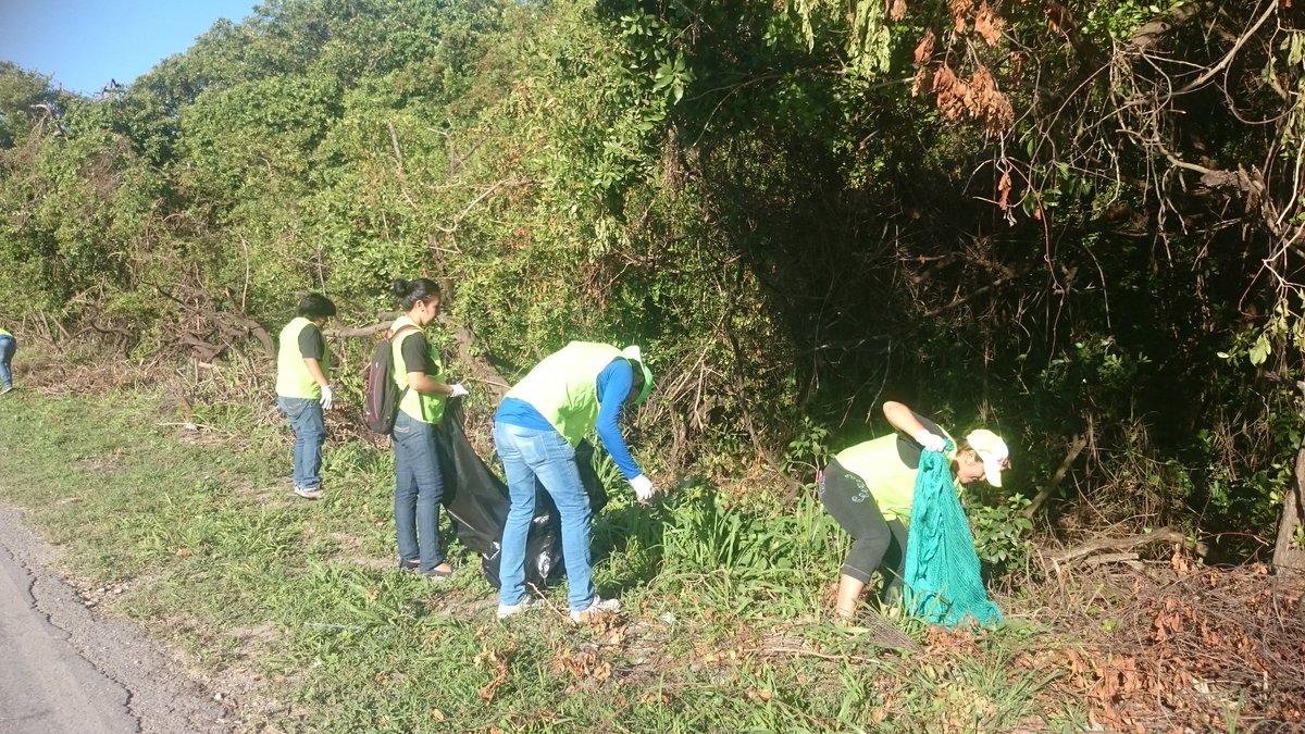jizcampeche_PRD's tweet photo. Continuamos con las limpiezas permanentes de #manglar por #MenteVerde y #JIZCampeche.
#Únete #SalvemosElManglar https://t.co/5LDB4Ukzd3