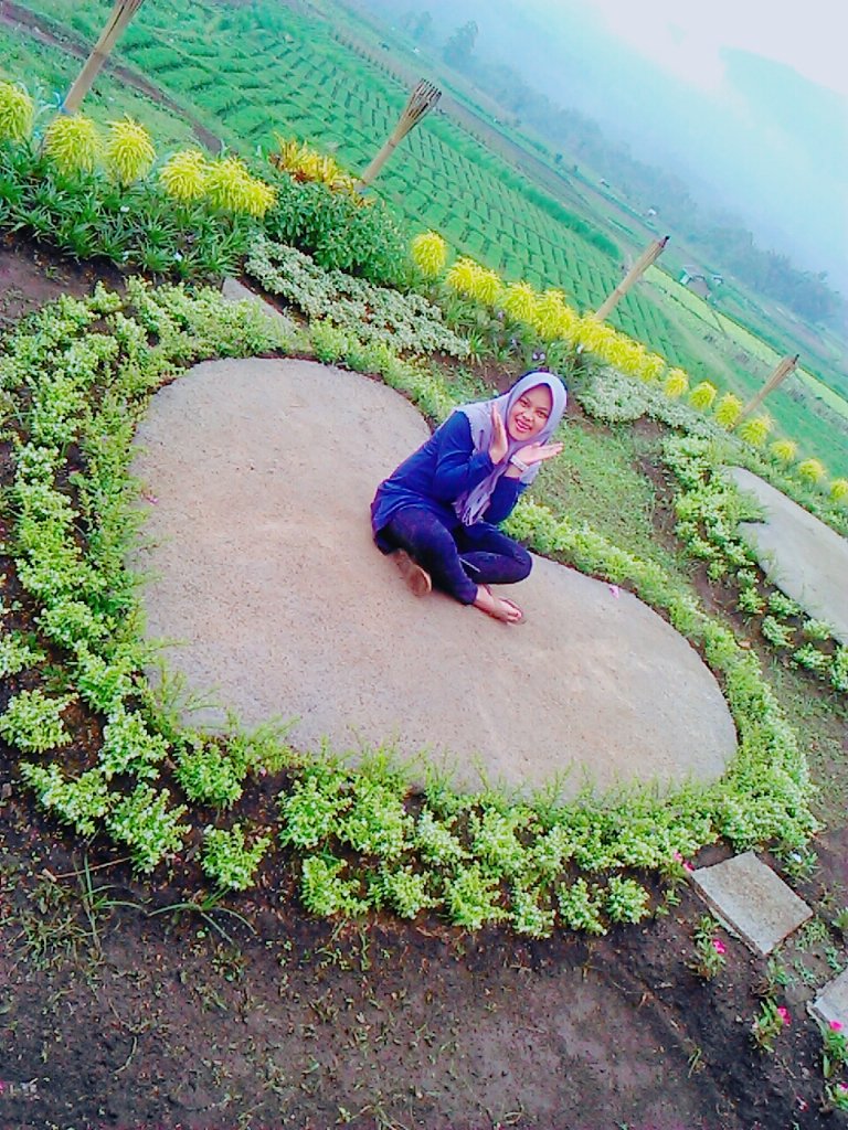 echa_ichi_ocha's tweet photo. https://t.co/1AAwxLibY3