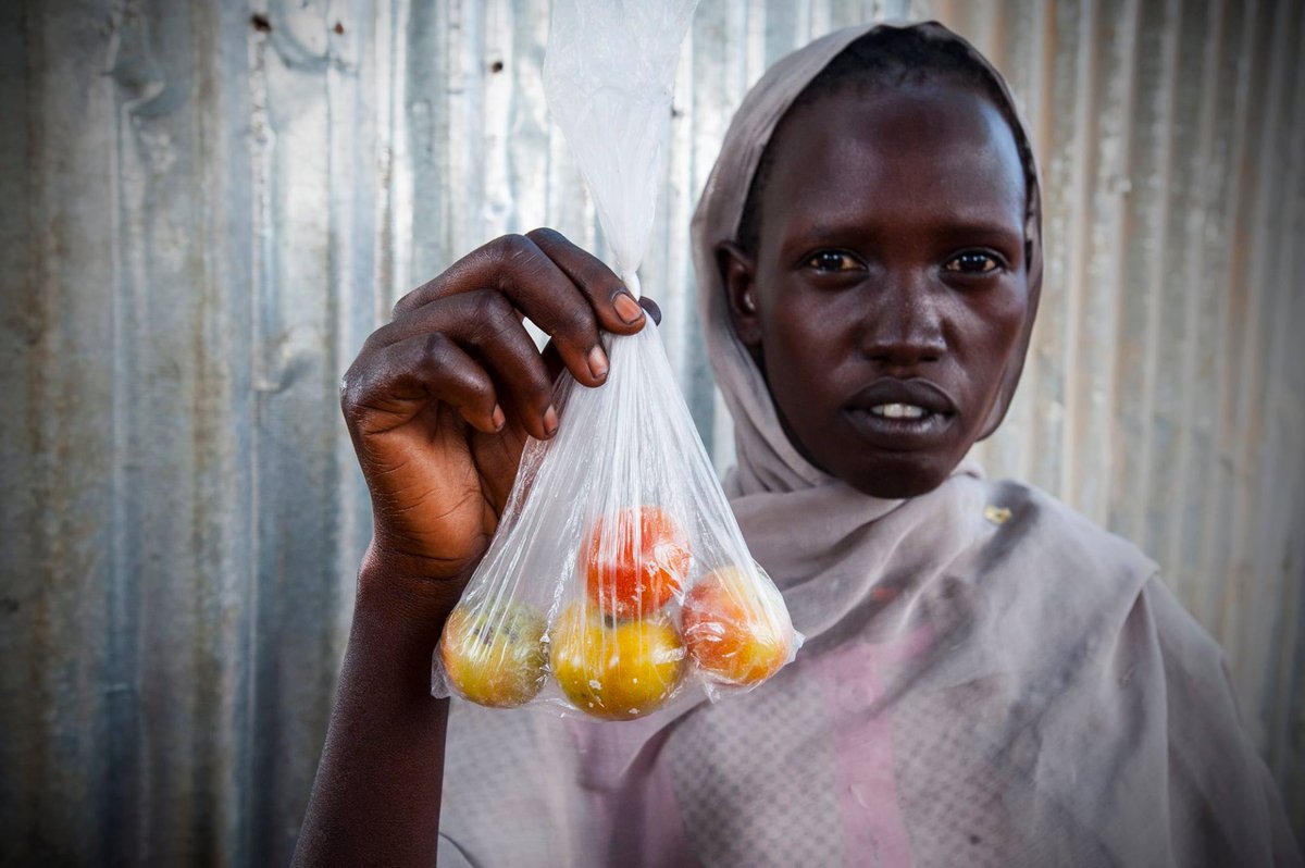 UNICEF's tweet photo. "I have no more money to buy any other food than these tomatoes" Acieng, #SouthSudan @unicefssudan https://t.co/ekpb2lLlWm