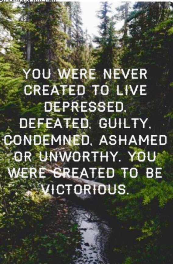 DastousNoelle's tweet photo. So true https://t.co/aGRXBASwSX