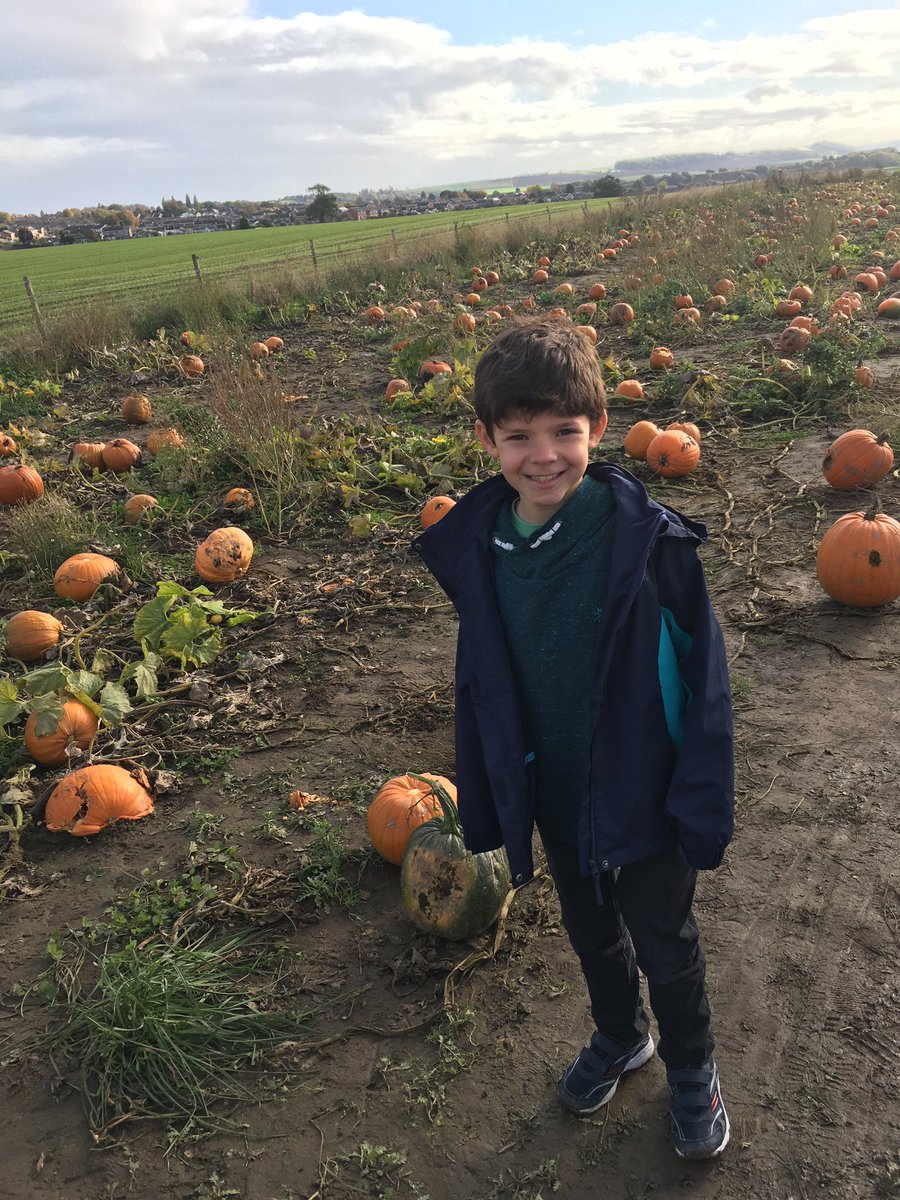hip2trek_emma's tweet photo. I got my big kids outside today as we went pumpkin picking! Just need to plan our carving pattern. Have you got yours yet? https://t.co/PaoqpyfPfr