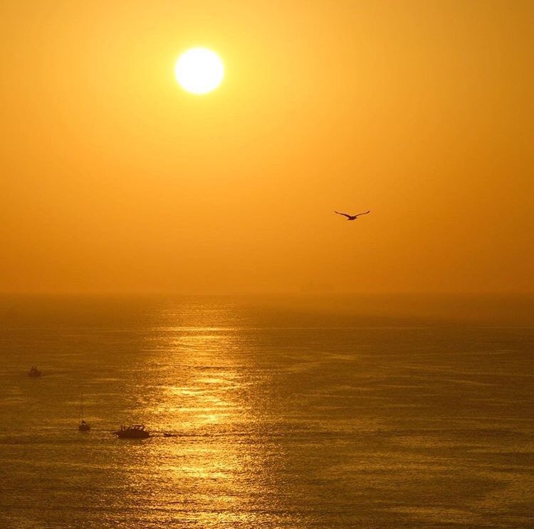 Punta del Este tweet media