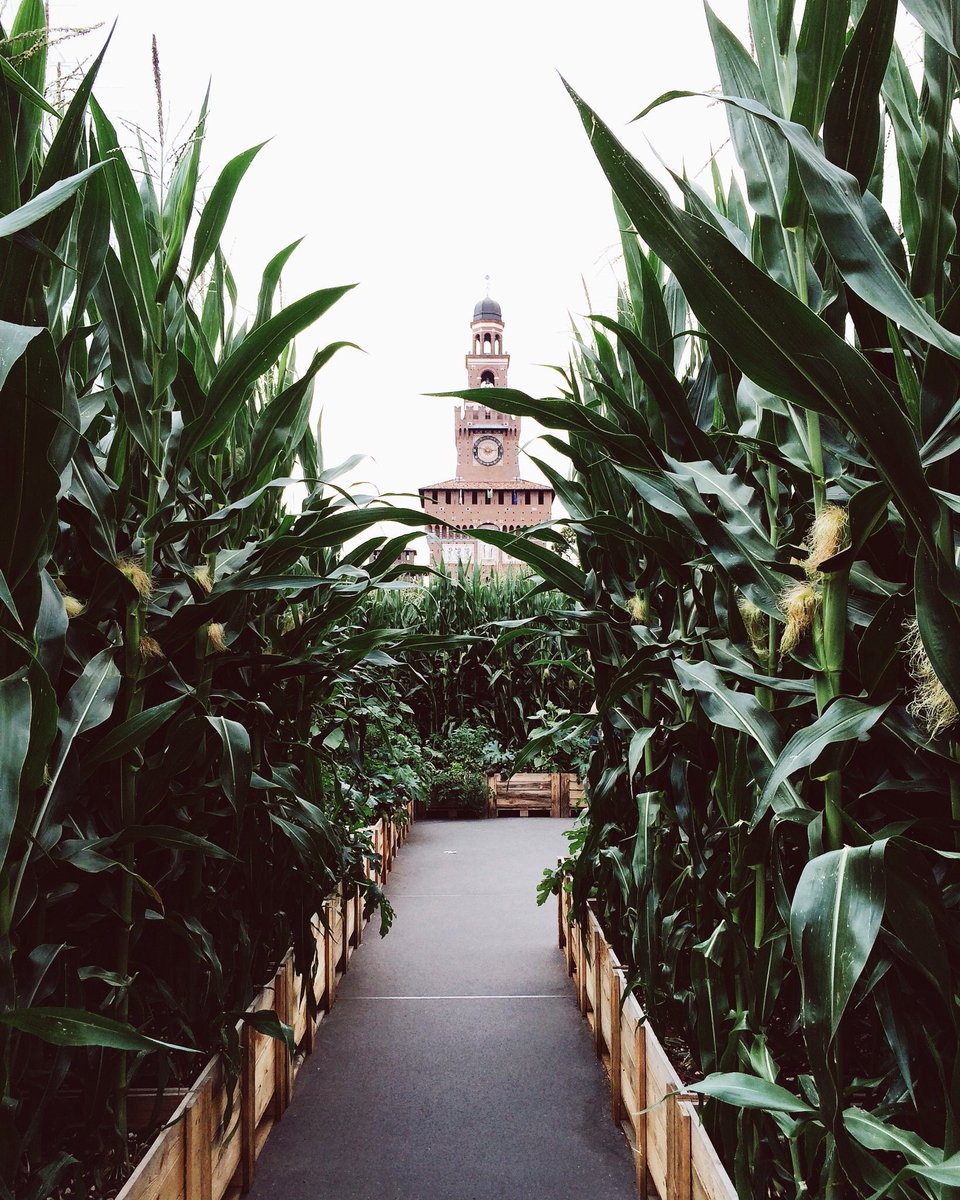 PostBadItalie's tweet photo. Milan 🇮🇹 https://t.co/xGPfmcFQnX