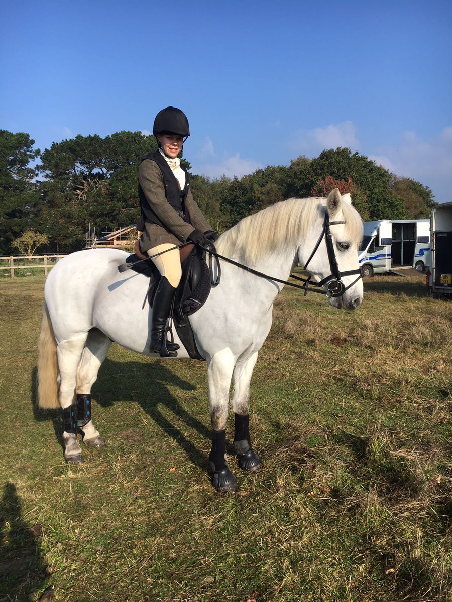 JessSedgwick24's tweet photo. Out hunting with the KSB on Storm! #enduranceponies#hunting#bloodhounds#xcjumping @Balanced_HF #BestFeed https://t.co/kc0auWCY2I