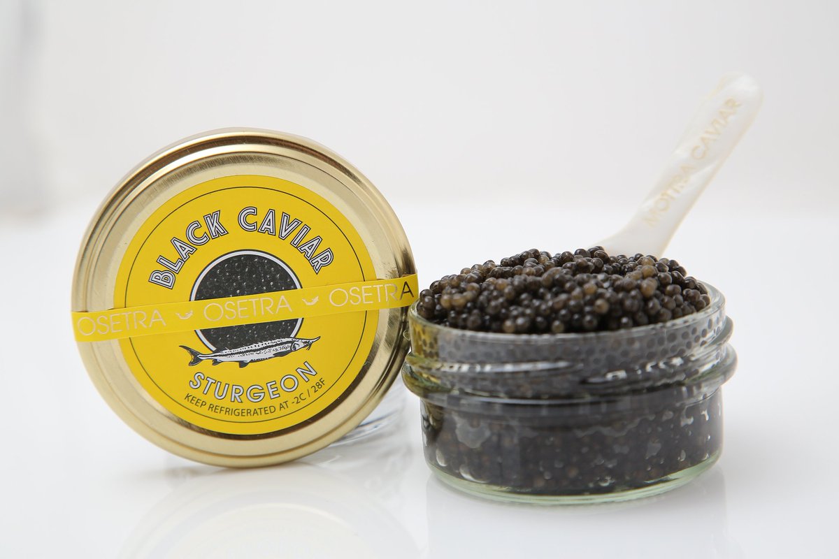 caviarmottra's tweet photo. Sturgeon Caviar
Treat your palate to the subtle taste of Sturgeon Caviar, harvested by the experts at 
Mottra.eu https://t.co/t7VirVii1i