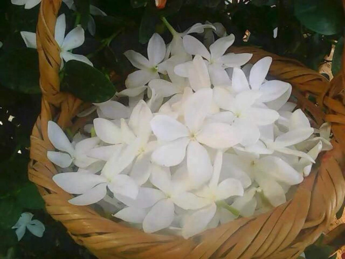 ���� ���� ������ �� ���� ������