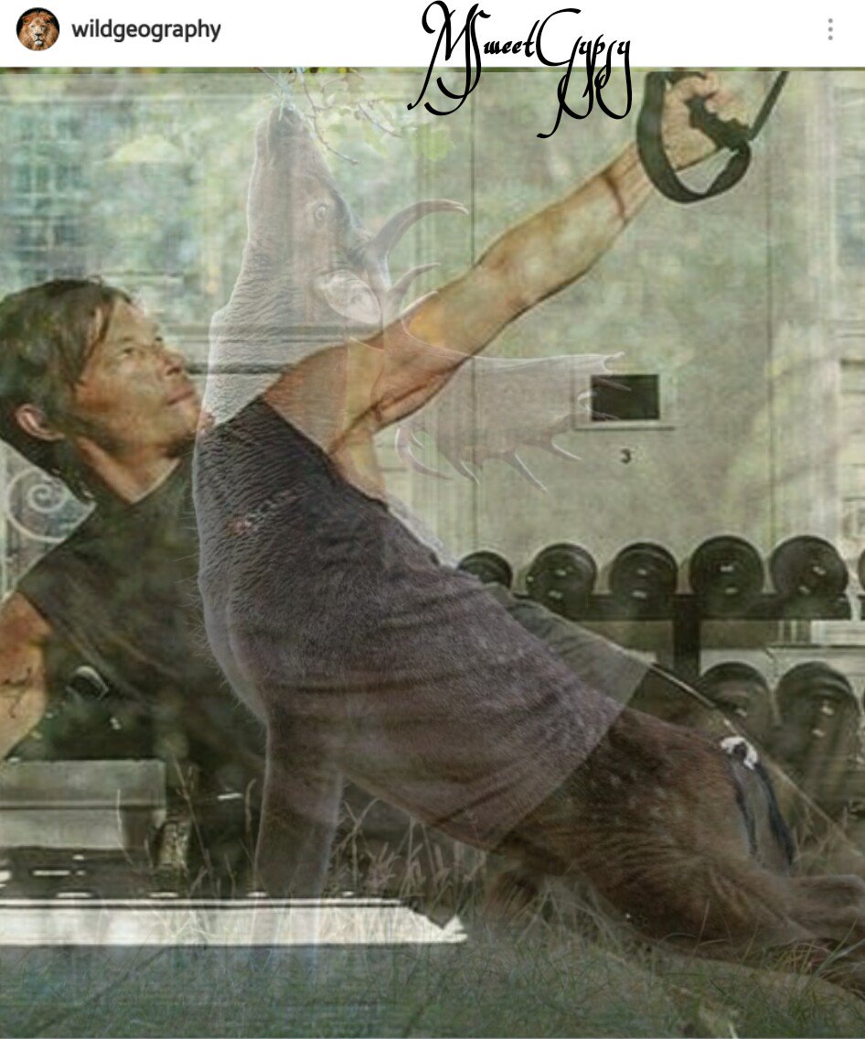 Stretch <a href="/wwwbigbaldhead/">norman reedus</a> #TWDFamily <a href="/Jennaswan1/">Normans Hand</a> <a href="/65bluemustang/">SunShine</a> @mommyc61