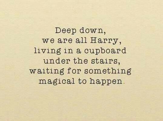 RFandom's tweet image. Living the magical life is what we all dream of #HarryPotter