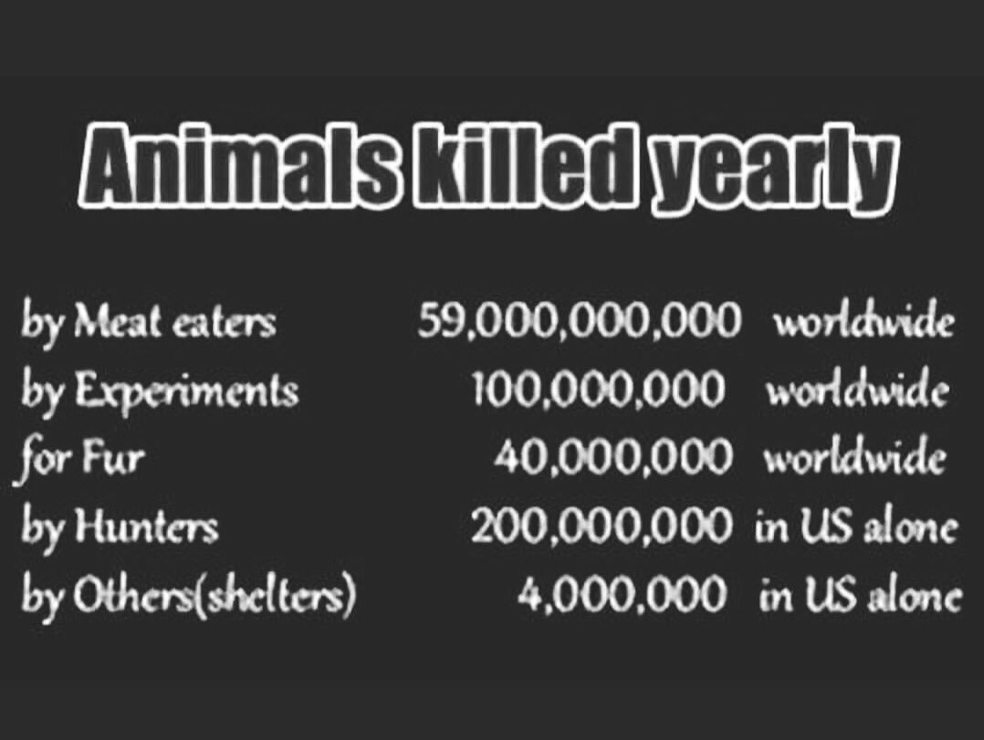 The Humane League on Twitter: The Humane League on Twitter: