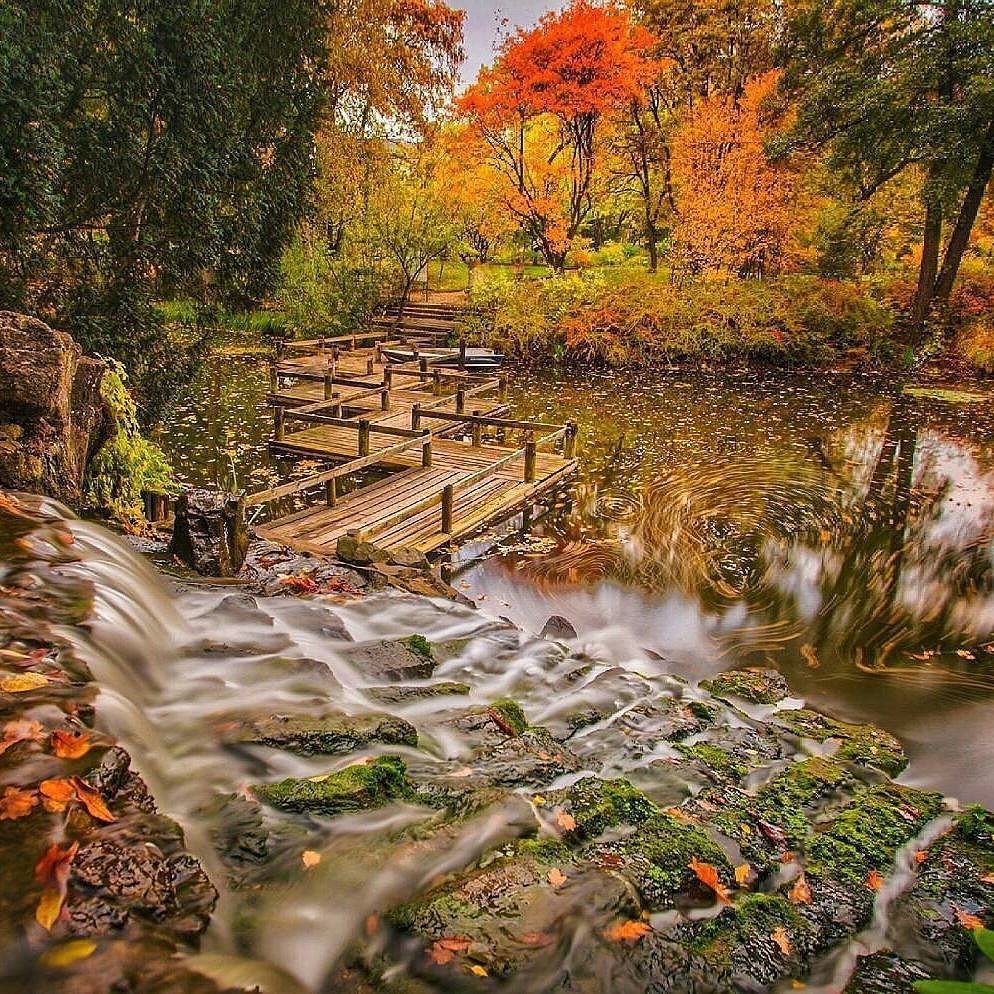 gazeta_wyborcza's tweet photo. @Regrann from @wroclaw_official - #repost @jkrzeszovskyphotos - Jesienny 🍃🍁raj 🌁 #wrocl… https://t.co/pSGeKhpX0Z https://t.co/x9kPzfwgKD