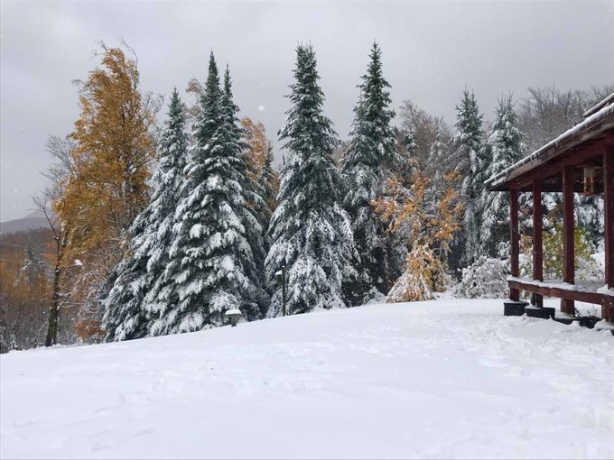 View image on Twitter View image on Twitter