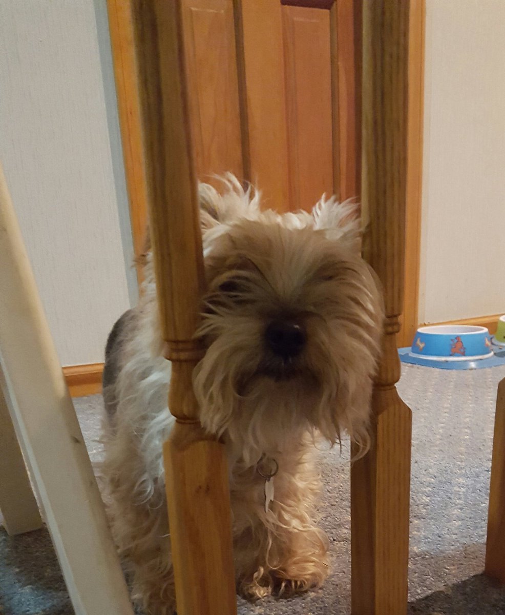 MorelloC's tweet photo. Call the governor! I've been framed! https://t.co/4ggW99vZ2s