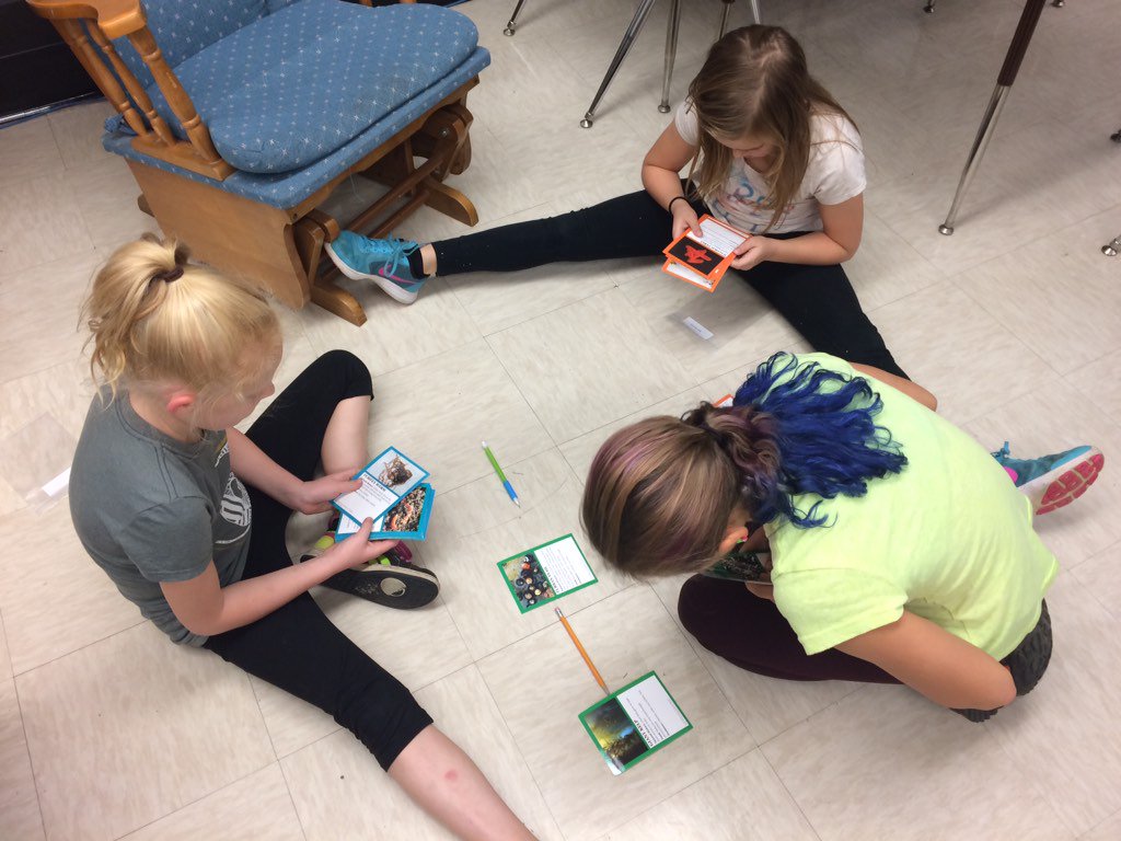 Creating food chains
