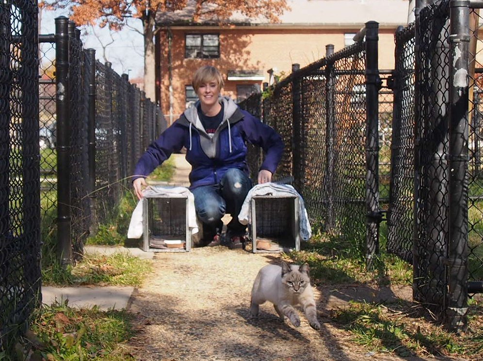 HumaneRescue's tweet photo. Keep #CommunityCats warm! Attend our cat cottage workshops on Oct 26 & 27 from 5-7 pm. Find more #CatNiPP here: https://t.co/UpIcsjCLhE https://t.co/7C5XlifRNh