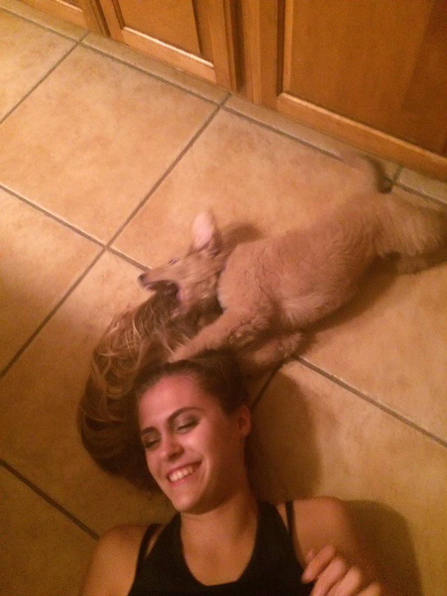 <a href="/TheWeeklyDoodle/">The Weekly Doodle</a> Brie is a chupradoodle.