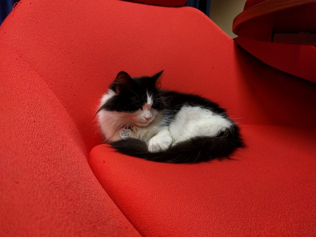kcodeuk's tweet photo. Code for the Kingdom over. @IWStartupCat is given her domain, @IWLondon, back. #C4tK_LDN #c4tk https://t.co/pRkyqsdegm