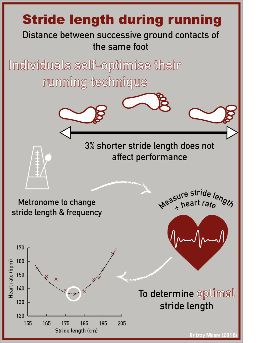 IzzyMoorePhD's tweet photo. Biomechanics explained: performance perspective of stride length. Resources for coaches, students @CardiffMetCSS https://t.co/qPUurZmZcc https://t.co/zln7duA3mG