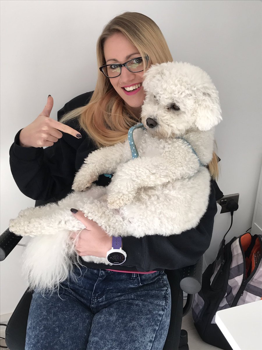 Cambie_Vlog's tweet photo. Charlie visited Mummy at her work #dogsuprise #dogs #bichon #dogsoftwitter #funny https://t.co/8oXCGvlcg5