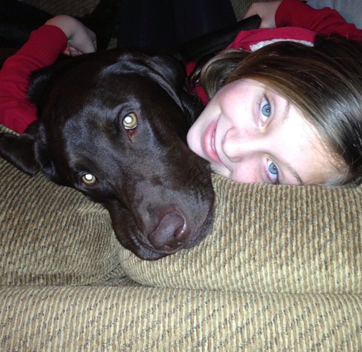 cassidylayne616's tweet photo. IMPORTANT: If you see these dogs please contact 919-889-4256 or 919-232-7729.  the brown lab is tank and the hound mix is maxi!!! thankyou! https://t.co/8b2yClNX5P