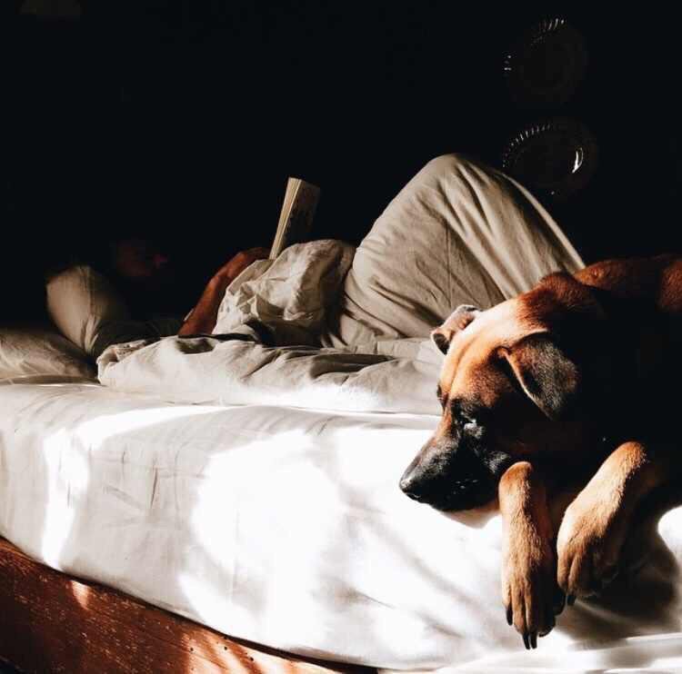 adventurful's tweet photo. Simple pleasures ☺️ https://t.co/47dVjb3jOe