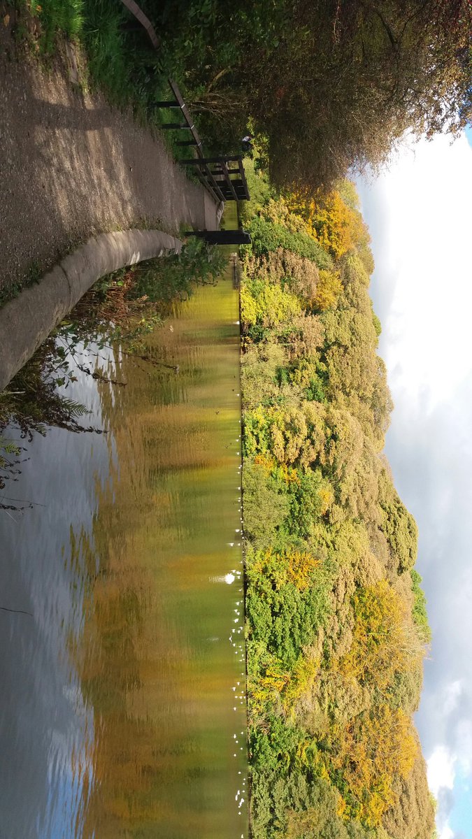 IJNewton's tweet photo. @BBCCountryfile Yarrow Valley country park in golden glory https://t.co/GezRZTOQxu