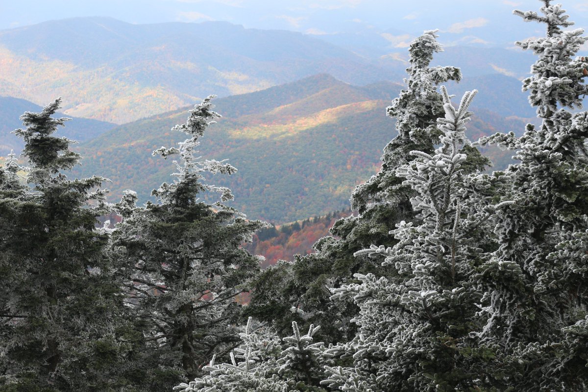 Two seasons in one picture. Ice covered #MountMitchell in contrast to the #fallcolors on the mountains below <a href="/MtMitchellStPk/">Mt Mitchell State Pk</a> <a href="/BlueRidgeNPS/">Blue Ridge Parkway</a>