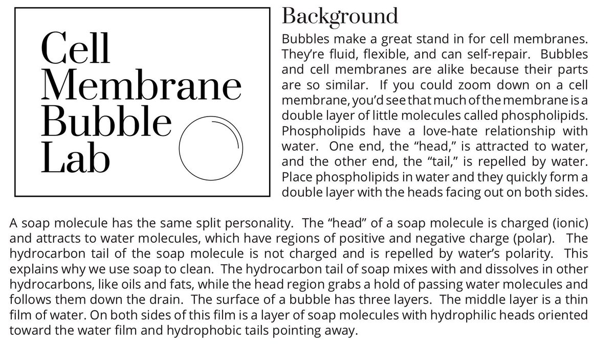 isteamprof's tweet photo. In case your #drivingquestion is #whatisabubble? Make connections into cells!! https://t.co/lHyr7ySttl https://t.co/AKY0YWZUdi