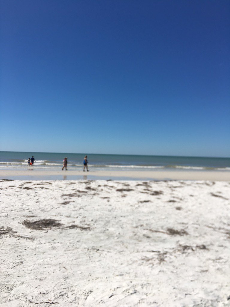 eileenjhurley's tweet photo. Celebrating #PSUwin #OSUbeat #luckiestgirlintheworld #spoiled #luvmyman all bc I missed the #beach #BeachLife https://t.co/nznMHefk6P