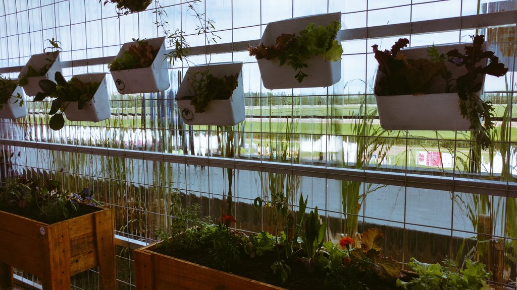 ExpoBio_Ar's tweet photo. En la #CasaSustentable todo funciona con energía solar y está construida y decorada con materiales reciclados. #BioArquitectura en #ExpoBio https://t.co/79qi1bMDU4
