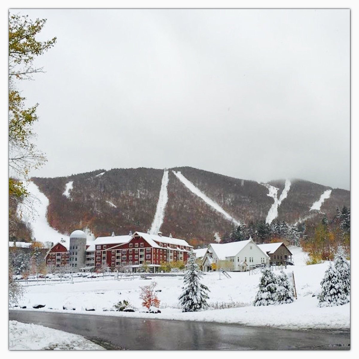 OSBE_HELMETS's tweet photo. Our pals @Sugarbush_VT woke up to 6" of fresh fallen #snow! #FirstSnow #WinterIsComing #AreYouReady? #SkiWithOSBE https://t.co/OGsbSv8wO8 ⛷🏂 https://t.co/UAPH5KKOmD