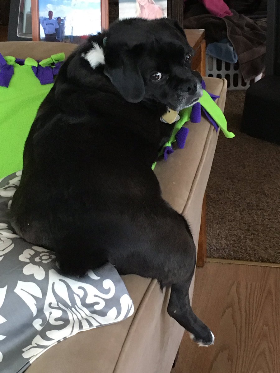 1 month til' I get to snuggle this chubby hunk of love. #cominghome