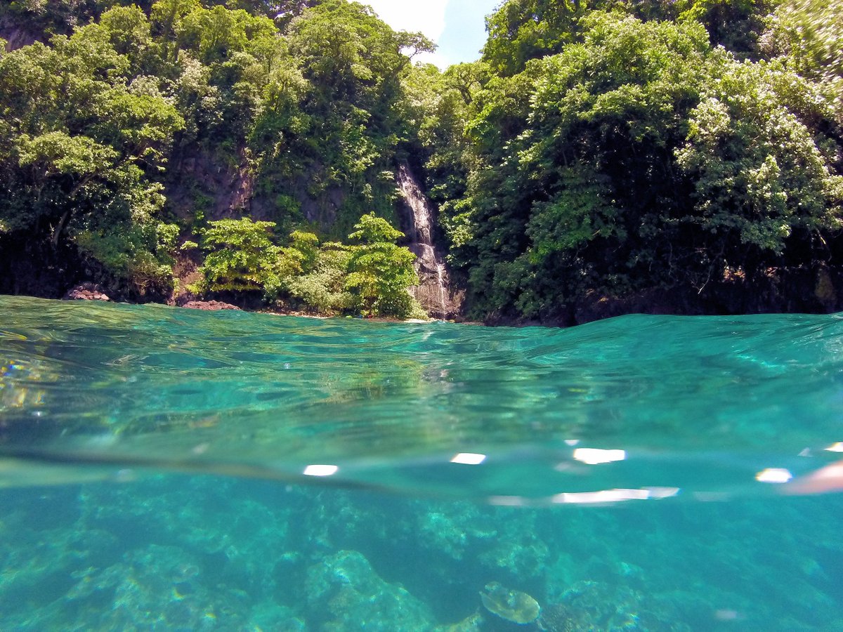 scottburchNPS's tweet photo. Tafeu #waterfall in @NPamericansamoa yesterday #paradise https://t.co/yCAemm8thj