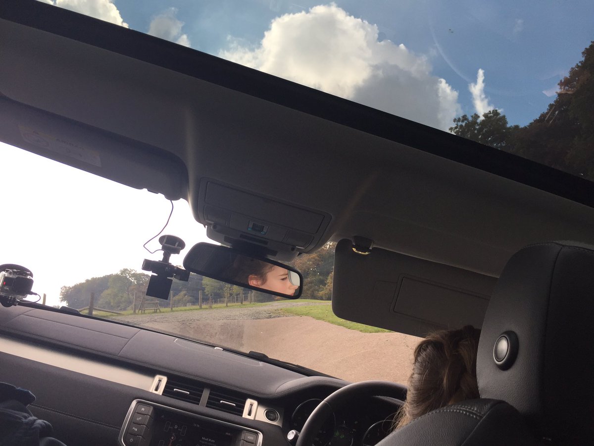 Neal Gibson tweet media