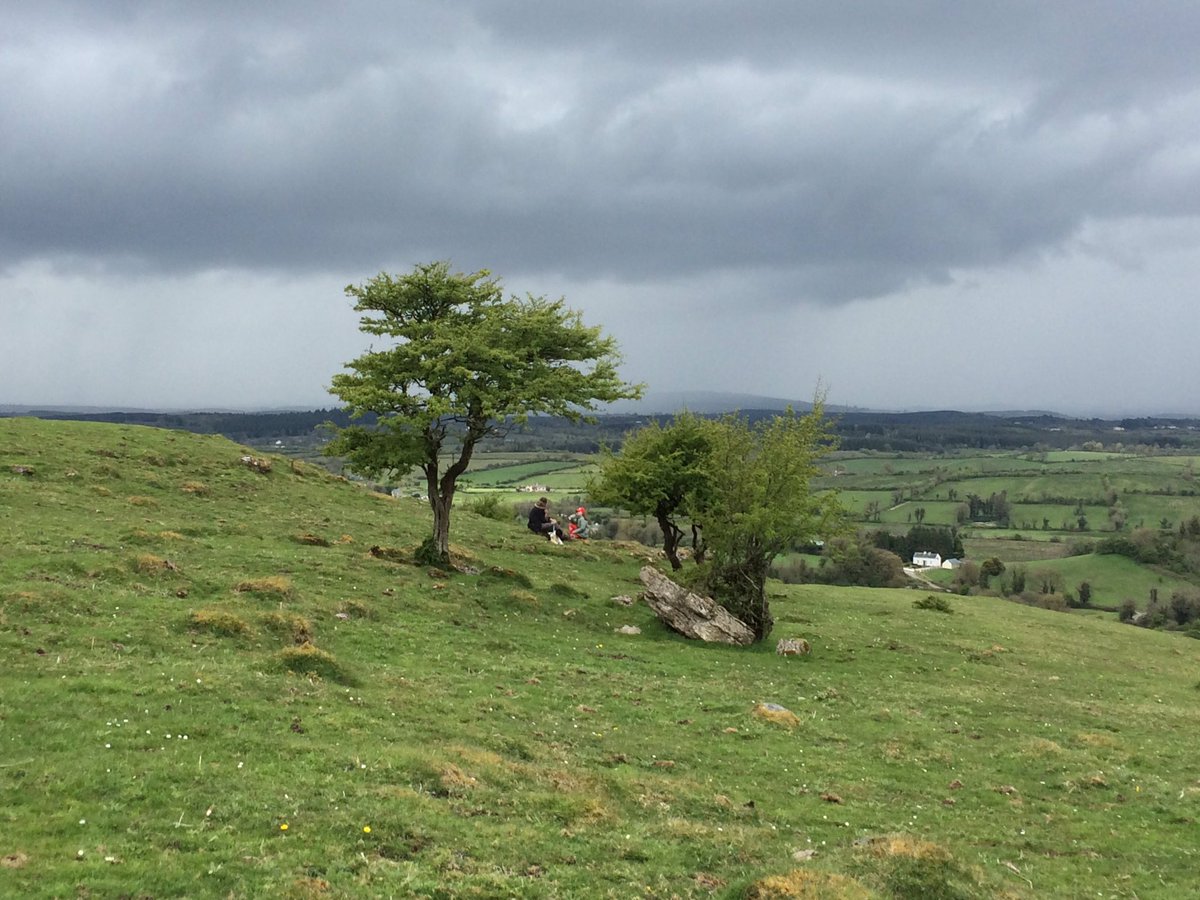 love_leitrim's tweet photo. Planxty playing the classic "Sheebeg Sheemore" from O Corolan #leitrim this is the #ireland we love #backthebill https://t.co/1nyQVFXDvA https://t.co/gxJ9k3otqC