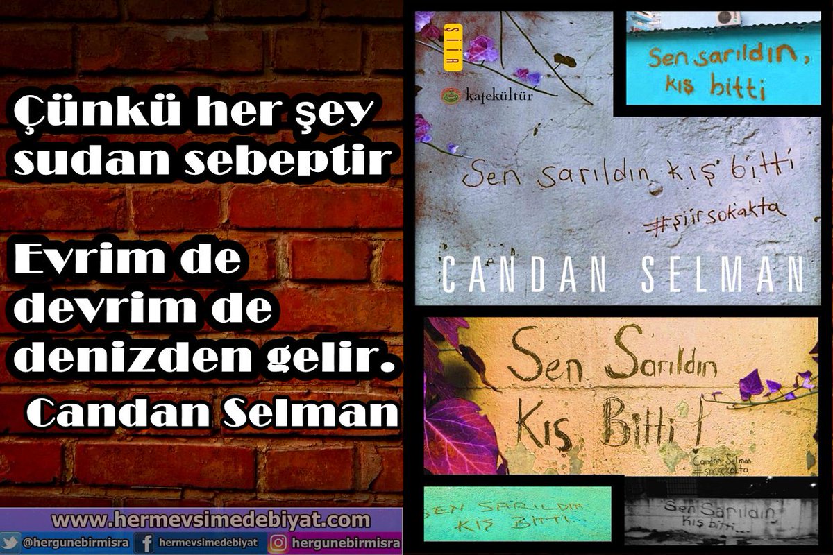 ***

Çünkü her şey sudan sebeptir.
Evrim de devrim de denizden gelir.

#CandanSelman
#SENSARILDINKIŞBİTTİ