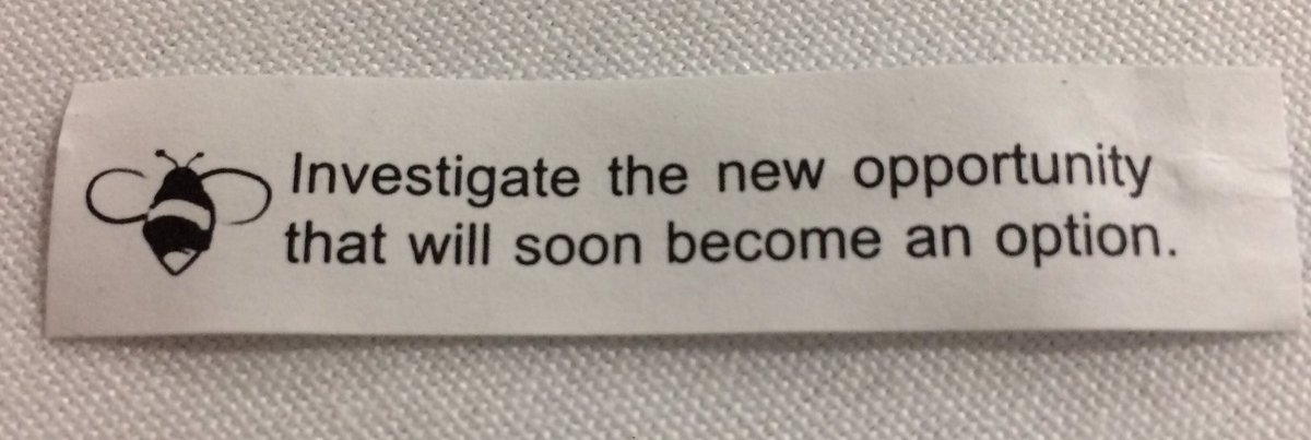 CrisisOptimist's tweet photo. "New" sort of sums up my big takeaway from #itlc16: new neural connections + new friends and contacts = new opportunities for new growth. https://t.co/evKLuSFH5L
